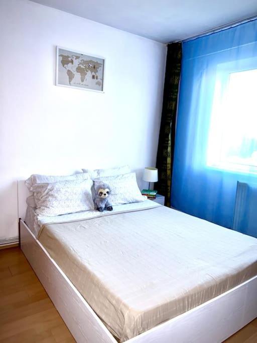 Ap 2 Cam Confortabile - Ab House Iasi Exteriér fotografie