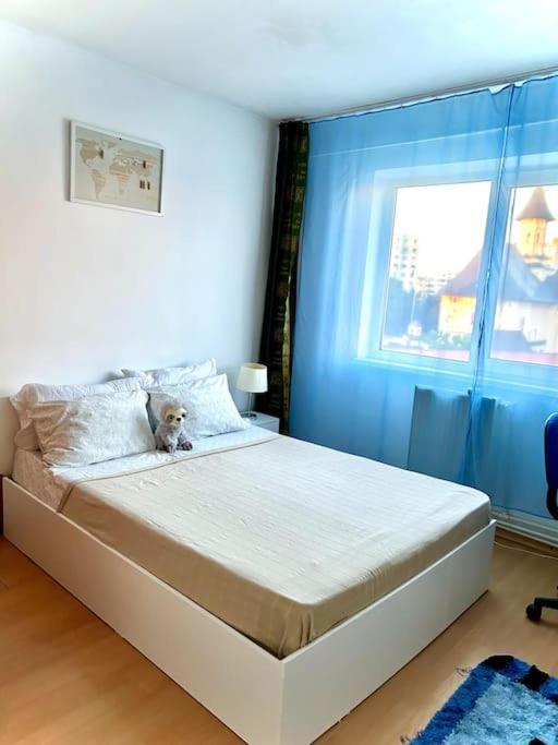 Ap 2 Cam Confortabile - Ab House Iasi Exteriér fotografie